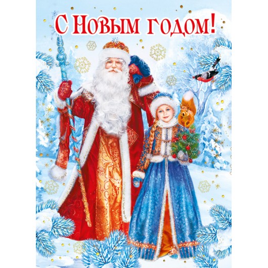 Купить Открытка, С Новым Годом Дед Мороз и Снегурочка 11*16 см - магазин воздушных шариков